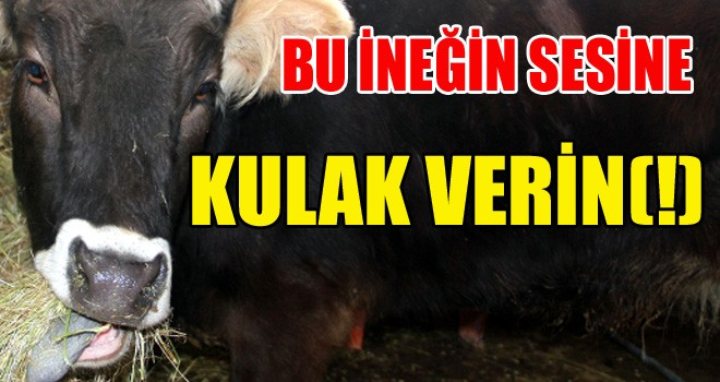 Erzurum’da Trajikomik Olay!