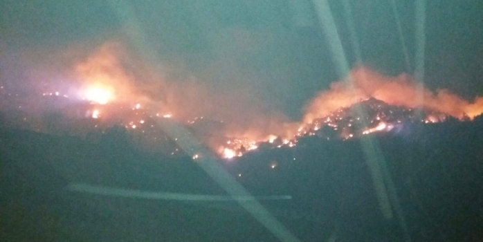 Şenkaya'da Orman Yangınları!