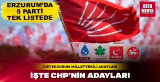 Millet ittifakı 5 Parti'nin listesi belli oldu