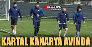 Kartal Kanarya'yı avlayacak...