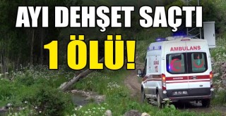 Ayıyla Beraber Uçurumdan Düşen Şahıs Hayatını Kaybetti!