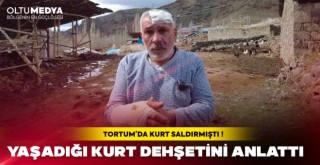 Yaşadığı kurt dehşetini anlattı