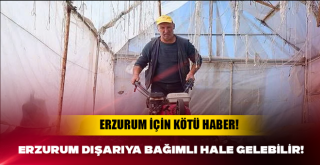 Erzurum dışarıya bağımlı hale gelebilir!