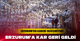Erzurum'a kar geri geldi