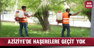 Aziziye'de Haşerelere Geçit Yok