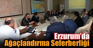 Erzurum’da Ağaçlandırma Seferberliği!