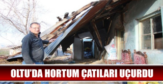 Oltu'da Hortum Ahır ve Samanlığın Çatısını Uçurdu