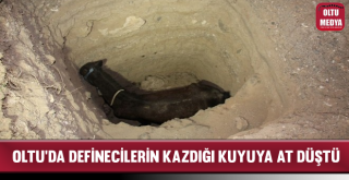 Oltu'da Definecilerin Kazdığı Kuyuya At Düştü