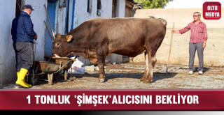 1 tonluk ‘Şimşek’ Alıcısını Bekliyor