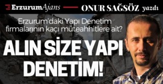 Alın size Yapı Denetim!