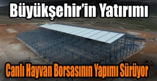 Büyükşehir’in yatırımı Canlı Hayvan Borsasının Yapımı Sürüyor!