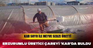Erzurumlu üretici çareyi 'kar'da buldu