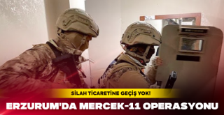 Erzurum'da Mercek-11 Operasyonu