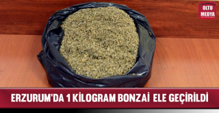 Erzurum'da 1 Kilogram Bonzai Ele Geçirildi
