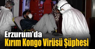 Erzurum’da Kırım Kongo Virüsü Şüphesi!