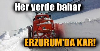 Her Yerde Bahar, Erzurum'da Kar Var!