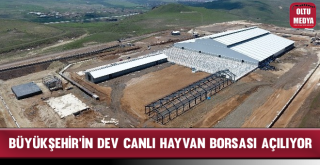 Büyükşehir'in Dev Yatırımı Canlı Hayvan Borsası'nda Son Rötuşlar Yapılıyor