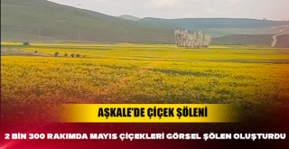 Aşkale'de çiçek şöleni