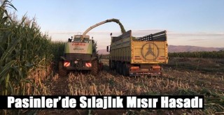 Pasinler’de Sılajlık Mısır Hasadı Başladı!