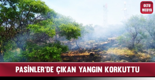 Pasinler'de Çıkan Yangın Korkuttu