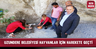 Hayvanlara Kötü Muamelede Bulunan Belediye Personeline Adli İşlem