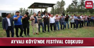Ayvalı Köyü'nde Festival Coşkusu